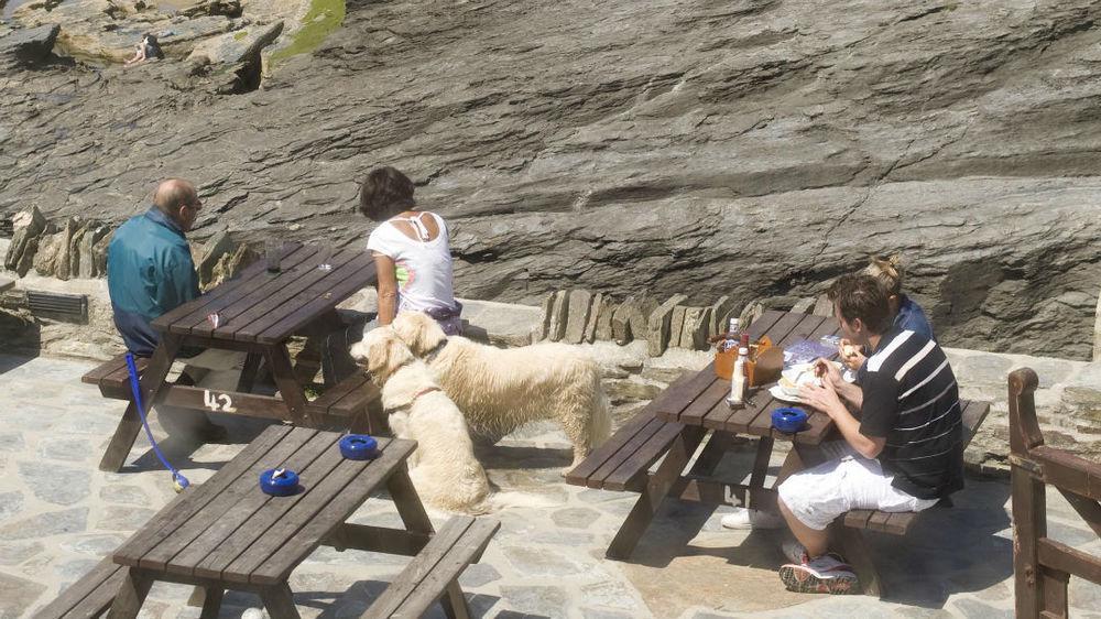 Port William Inn Tintagel Eksteriør billede